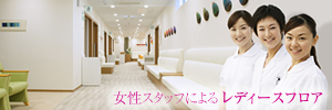 レディースドック